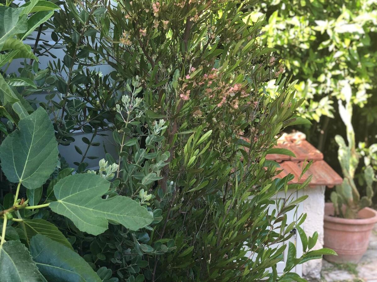 Le tre Palme Villa Fontane Bianche Eksteriør bilde