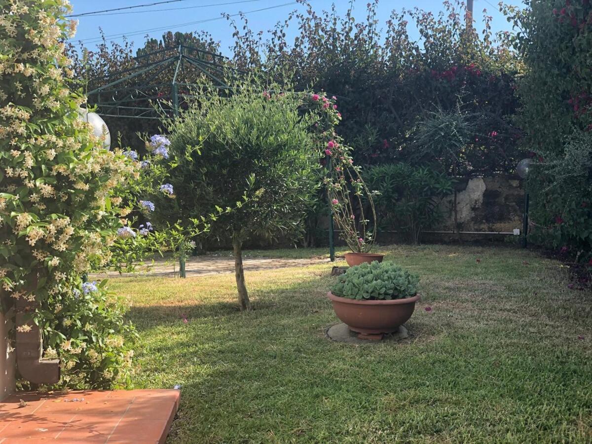 Le tre Palme Villa Fontane Bianche Eksteriør bilde