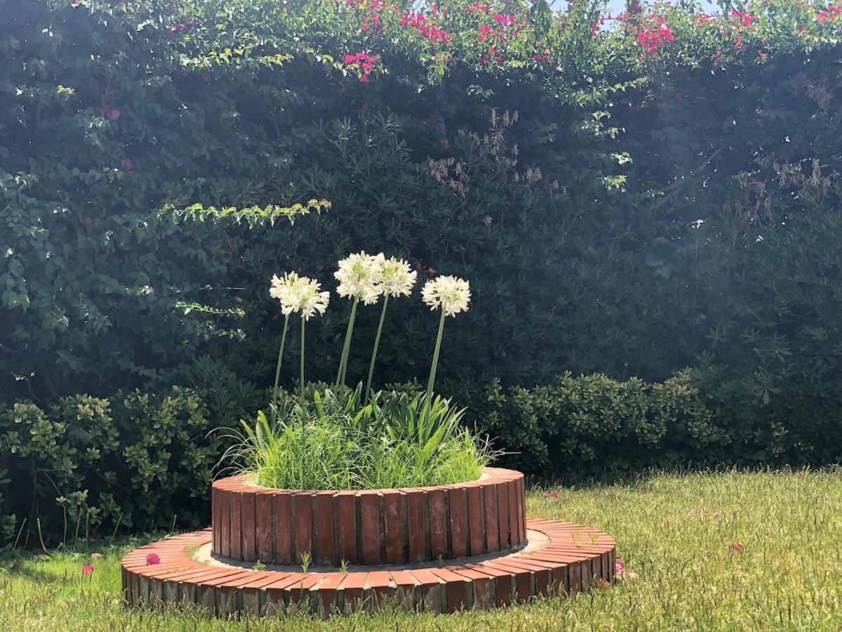 Le tre Palme Villa Fontane Bianche Eksteriør bilde